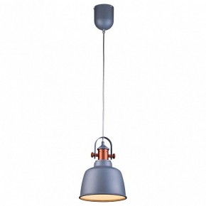 Подвесной светильник Lucia Tucci Industrial INDUSTRIAL 1820.1 SAND SILVER в Тобольске - tobolsk.ok-mebel.com | фото 2