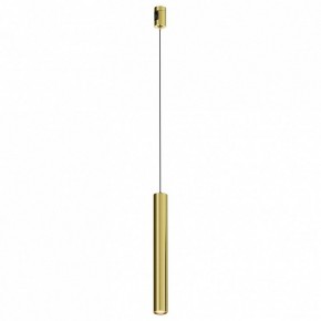 Подвесной светильник Maytoni Focus Led TR155-1-5W3K-BS в Тобольске - tobolsk.ok-mebel.com | фото