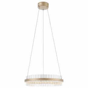 Подвесной светильник ST-Luce Cherio SL383.203.01 в Тобольске - tobolsk.ok-mebel.com | фото 3