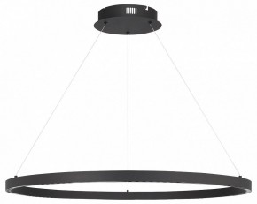 Подвесной светильник ST-Luce PARILLA SL6238.443.01 в Тобольске - tobolsk.ok-mebel.com | фото 3