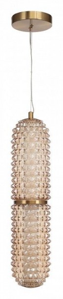 Подвесной светильник ST-Luce SAGUARO SL6144.303.01 в Тобольске - tobolsk.ok-mebel.com | фото 3