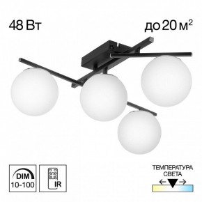 Потолочная люстра Citilux Dorsy CL223142 в Тобольске - tobolsk.ok-mebel.com | фото 9
