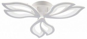 Потолочная люстра Natali Kovaltseva FORTUNA LED LAMPS 81107/2C в Тобольске - tobolsk.ok-mebel.com | фото