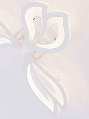 Потолочная люстра Natali Kovaltseva FORTUNA LED LAMPS 81107/2C в Тобольске - tobolsk.ok-mebel.com | фото 11