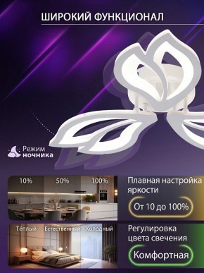 Потолочная люстра Natali Kovaltseva FORTUNA LED LAMPS 81107/2C в Тобольске - tobolsk.ok-mebel.com | фото 5