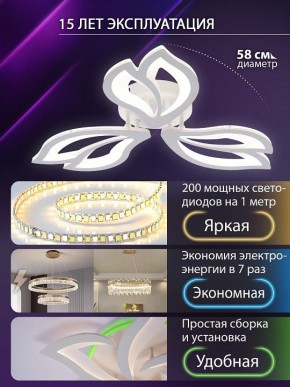 Потолочная люстра Natali Kovaltseva FORTUNA LED LAMPS 81107/2C в Тобольске - tobolsk.ok-mebel.com | фото 6