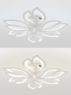 Потолочная люстра Natali Kovaltseva FORTUNA LED LAMPS 81107/6C в Тобольске - tobolsk.ok-mebel.com | фото 4