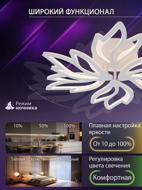 Потолочная люстра Natali Kovaltseva RIF LED LAMPS 81118/5C в Тобольске - tobolsk.ok-mebel.com | фото 6
