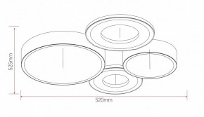 Потолочная люстра Rivoli Aliona Б0066451 в Тобольске - tobolsk.ok-mebel.com | фото 11