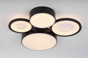 Потолочная люстра Rivoli Aliona Б0066451 в Тобольске - tobolsk.ok-mebel.com | фото 8