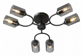 Потолочная люстра Vitaluce V2823 V2823-1/6PL в Тобольске - tobolsk.ok-mebel.com | фото 2