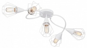 Потолочная люстра Vitaluce V3037 V3037-0/5PL в Тобольске - tobolsk.ok-mebel.com | фото