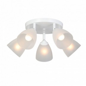 Потолочная люстра Vitaluce V4355 V4355-0/5PL в Тобольске - tobolsk.ok-mebel.com | фото 2