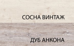 Шкаф 2D1S, MONAKO, цвет Сосна винтаж/дуб анкона в Тобольске - tobolsk.ok-mebel.com | фото