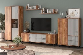 Шкаф комбинированный Онтарио 474.06 в Тобольске - tobolsk.ok-mebel.com | фото 5