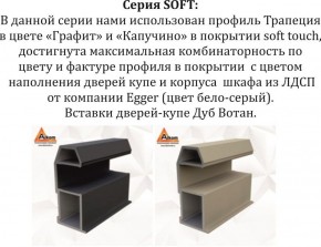 Шкаф-купе 2100 серии SOFT D4+D4+D4+B22+PL1 (по 2 ящика лев/прав+1штанга) профиль «Графит» в Тобольске - tobolsk.ok-mebel.com | фото 12