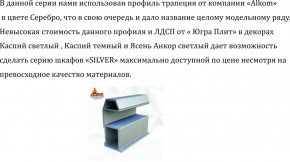 Шкаф-купе 2250 серии SILVER S3+S1+S3Z B22+PL2 (по 2 ящика лев/прав+1штанга+1 полка) профиль «Серебро» в Тобольске - tobolsk.ok-mebel.com | фото 4