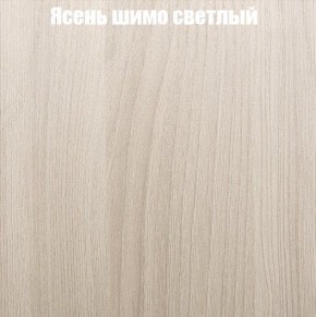 Шкаф-купе «ТАНДЕМ» 2-х дверный в алюминиевом профиле (Дверь К+К) 1600/h2200 в Тобольске - tobolsk.ok-mebel.com | фото 6
