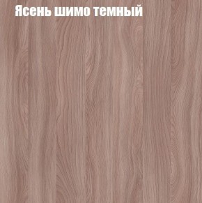 Шкаф-купе «ТАНДЕМ» 2-х дверный в алюминиевом профиле (Дверь К+К) 1600/h2200 в Тобольске - tobolsk.ok-mebel.com | фото 7