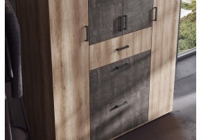 Шкаф платяной Паркинс в Тобольске - tobolsk.ok-mebel.com | фото 3