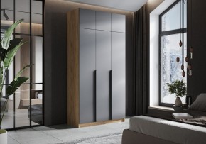Шкаф платяной Широн в Тобольске - tobolsk.ok-mebel.com | фото 4