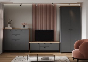 Шкаф платяной Теодора в Тобольске - tobolsk.ok-mebel.com | фото 3