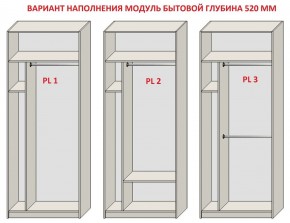 Шкаф распашной серия «ЗЕВС» (PL3/С1/PL2) Серый камень/Небраска натуральный в Тобольске - tobolsk.ok-mebel.com | фото 5