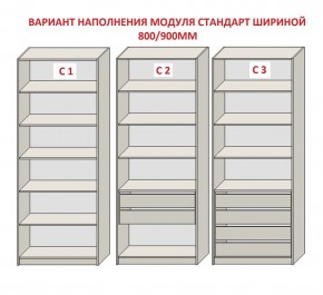 Шкаф распашной серия «ЗЕВС» (PL3/С1/PL2) Серый камень/Небраска натуральный в Тобольске - tobolsk.ok-mebel.com | фото 6