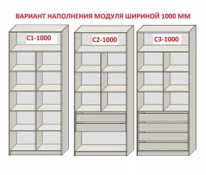 Шкаф распашной серия «ЗЕВС» (PL3/С1/PL2) Серый камень/Небраска натуральный в Тобольске - tobolsk.ok-mebel.com | фото 7