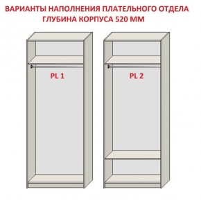 Шкаф распашной серия «ЗЕВС» (PL3/С1/PL2) Серый камень/Небраска натуральный в Тобольске - tobolsk.ok-mebel.com | фото 9