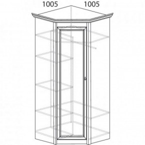 Шкаф угловой №662 "Флоренция" Фасад глухой (угол 1005*1005) Дуб оксфорд в Тобольске - tobolsk.ok-mebel.com | фото 3