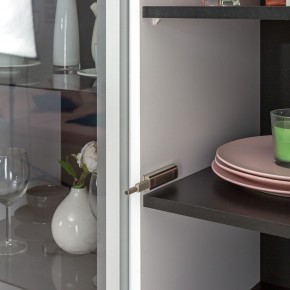 Шкаф-витрина 13.201 Сидней в Тобольске - tobolsk.ok-mebel.com | фото 2