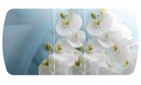 Стол Бостон-3 (Белая Орхидея) 1100/1420*700, опора Брифинг в Тобольске - tobolsk.ok-mebel.com | фото 2