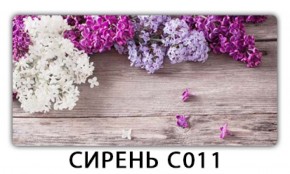 Стол раздвижной Трилогия с фотопечатью Орхидея C012 в Тобольске - tobolsk.ok-mebel.com | фото 16