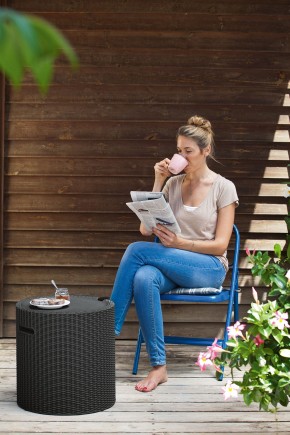 Столик-холодильник Кул-Стул (Cool stool) графит в Тобольске - tobolsk.ok-mebel.com | фото