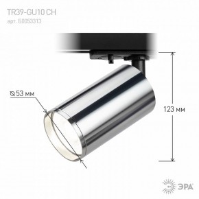 Светильник на штанге Эра  TR39-GU10 СН в Тобольске - tobolsk.ok-mebel.com | фото 7