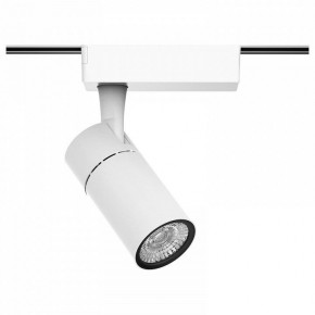 Светильник на штанге Gauss Track Light TR059 в Тобольске - tobolsk.ok-mebel.com | фото