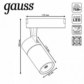 Светильник на штанге Gauss Track Light TR060 в Тобольске - tobolsk.ok-mebel.com | фото 5