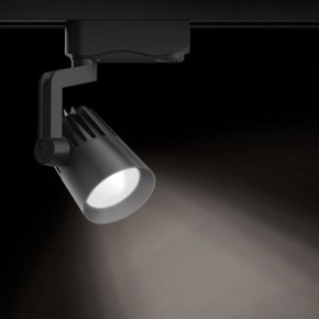 Светильник на штанге Gauss Track Light TR061 в Тобольске - tobolsk.ok-mebel.com | фото 2