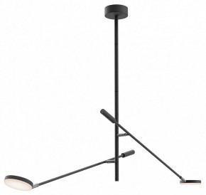 Светильник на штанге Maytoni Fad MOD070CL-L15B3K1 в Тобольске - tobolsk.ok-mebel.com | фото