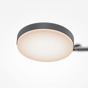 Светильник на штанге Maytoni Fad MOD070CL-L15B3K1 в Тобольске - tobolsk.ok-mebel.com | фото 7