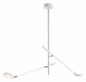 Светильник на штанге Maytoni Fad MOD070CL-L15W3K1 в Тобольске - tobolsk.ok-mebel.com | фото