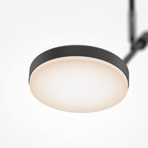 Светильник на штанге Maytoni Fad MOD070CL-L8B3K в Тобольске - tobolsk.ok-mebel.com | фото 4