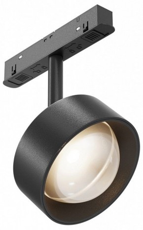 Светильник на штанге Maytoni Lens TR217-2-15W3K-B в Тобольске - tobolsk.ok-mebel.com | фото