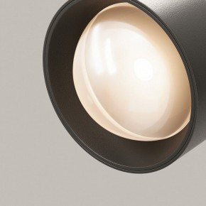 Светильник на штанге Maytoni Lens TR217-2-15W3K-B в Тобольске - tobolsk.ok-mebel.com | фото 12