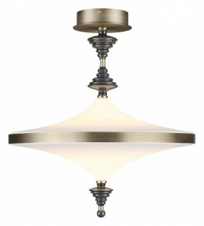 Светильник на штанге Odeon Light Ula 5404/43CL в Тобольске - tobolsk.ok-mebel.com | фото 2
