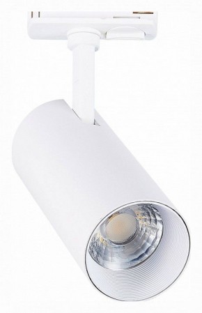 Светильник на штанге ST-Luce Mono ST350.546.20.36 в Тобольске - tobolsk.ok-mebel.com | фото
