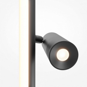 Торшер Maytoni Thin MOD395FL-L28B3K в Тобольске - tobolsk.ok-mebel.com | фото 6