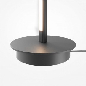 Торшер Maytoni Thin MOD395FL-L28B3K в Тобольске - tobolsk.ok-mebel.com | фото 8