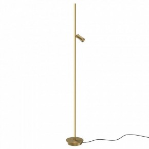 Торшер Maytoni Thin MOD395FL-L28BS3K в Тобольске - tobolsk.ok-mebel.com | фото